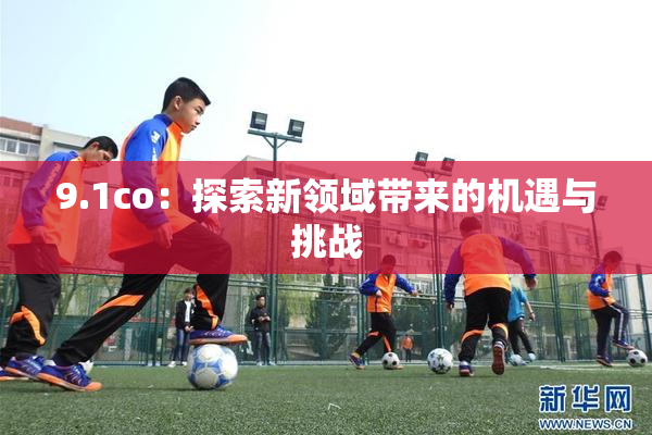 9.1co：探索新领域带来的机遇与挑战