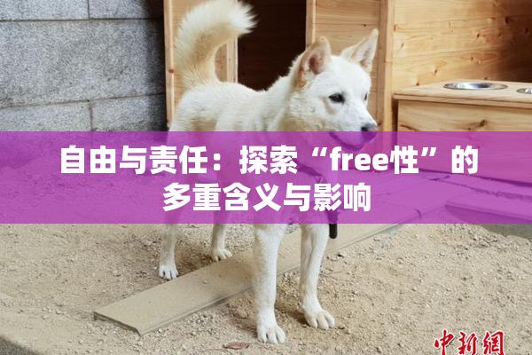 自由与责任：探索“free性”的多重含义与影响