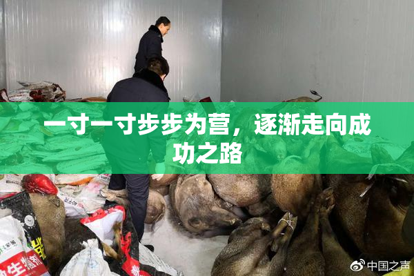 一寸一寸步步为营，逐渐走向成功之路