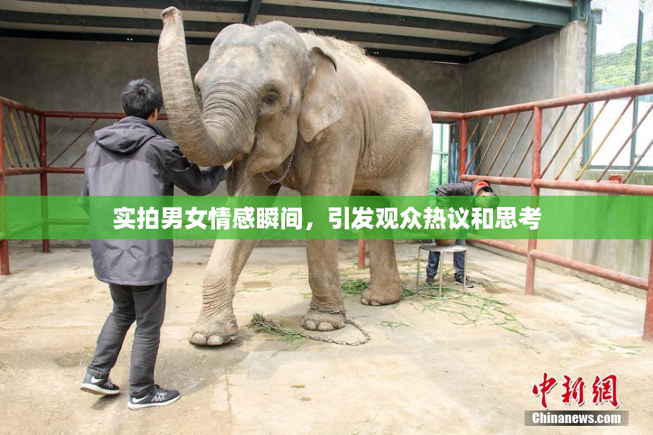 实拍男女情感瞬间，引发观众热议和思考