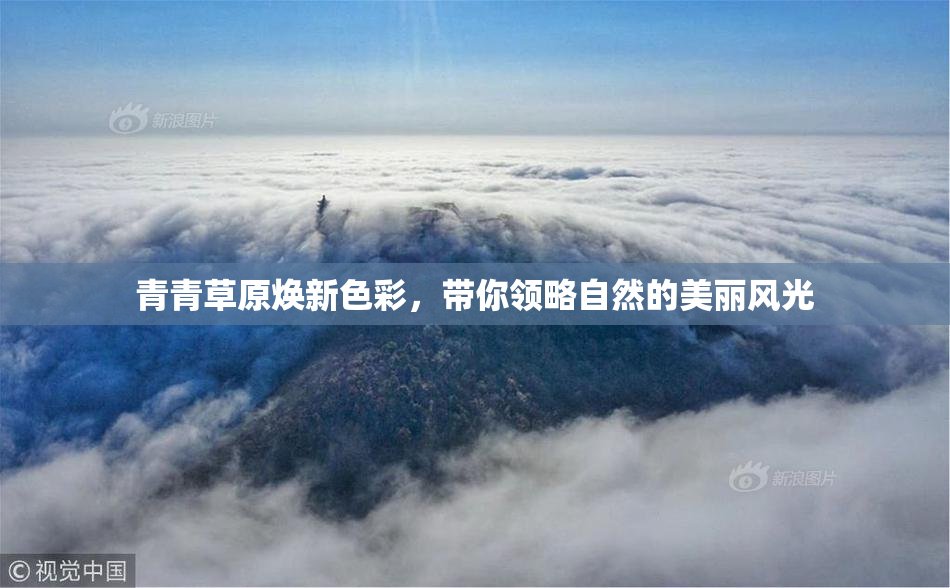 青青草原焕新色彩，带你领略自然的美丽风光
