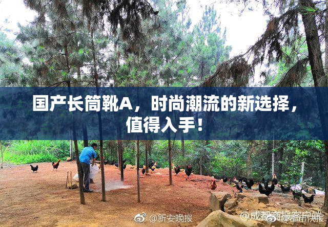 国产长筒靴A，时尚潮流的新选择，值得入手！