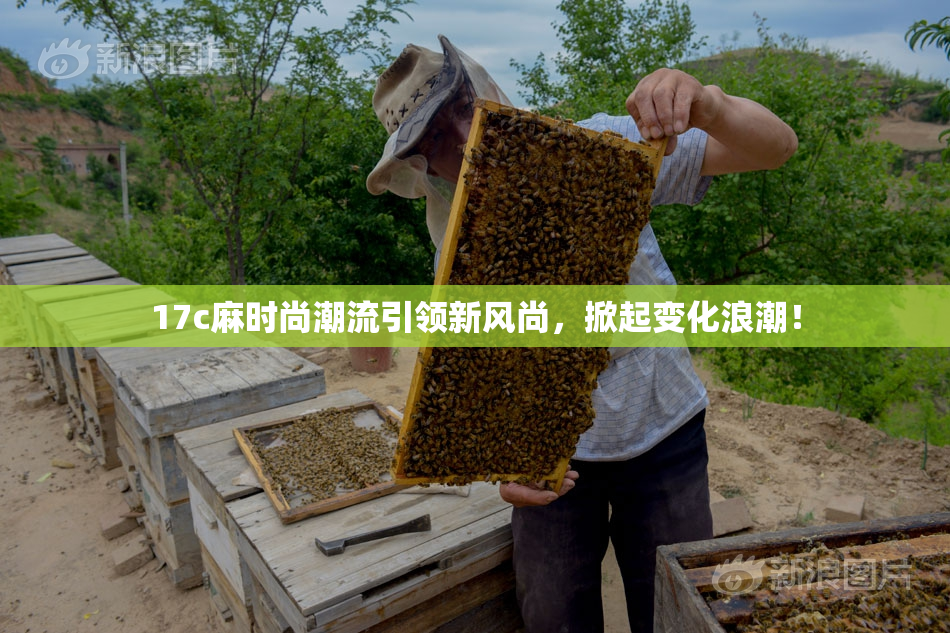 17c麻时尚潮流引领新风尚，掀起变化浪潮！