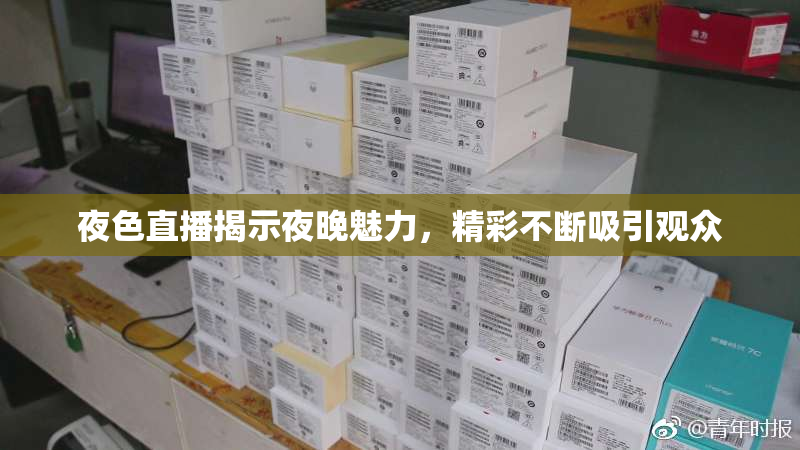 夜色直播揭示夜晚魅力，精彩不断吸引观众