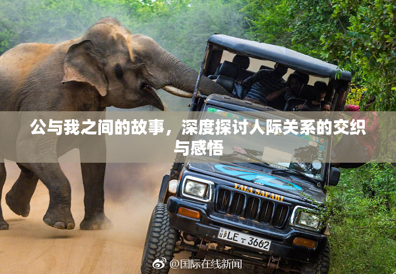 公与我之间的故事，深度探讨人际关系的交织与感悟
