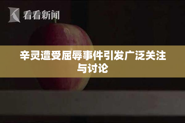 辛灵遭受屈辱事件引发广泛关注与讨论