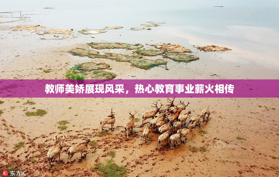 教师美娇展现风采，热心教育事业薪火相传