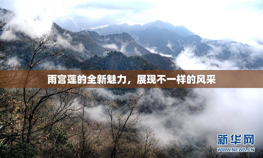 雨宫莲的全新魅力，展现不一样的风采