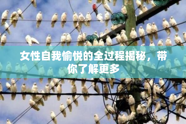 女性自我愉悦的全过程揭秘，带你了解更多