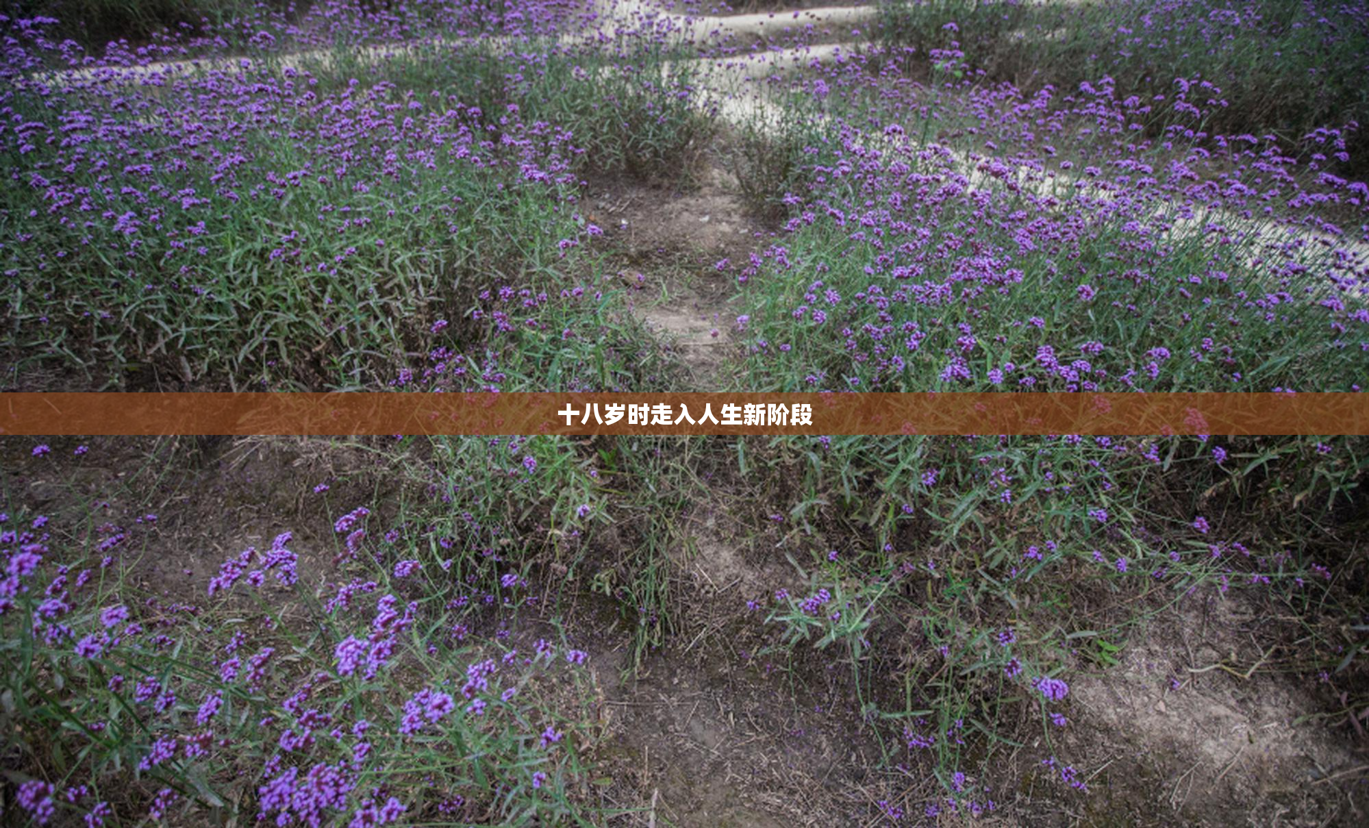 十八岁时走入人生新阶段