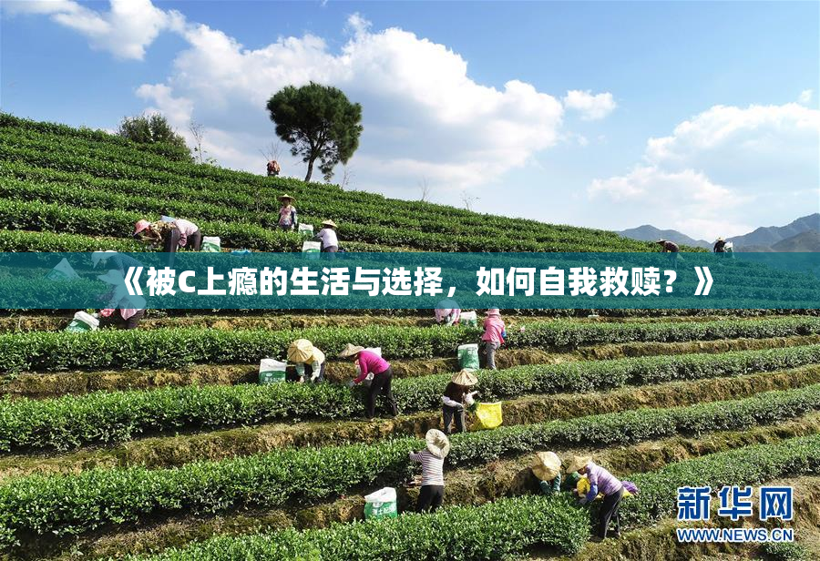 《被C上瘾的生活与选择，如何自我救赎？》
