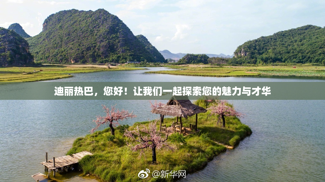 迪丽热巴，您好！让我们一起探索您的魅力与才华