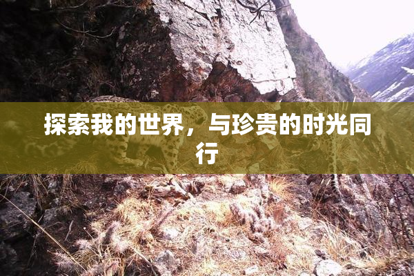 探索我的世界，与珍贵的时光同行
