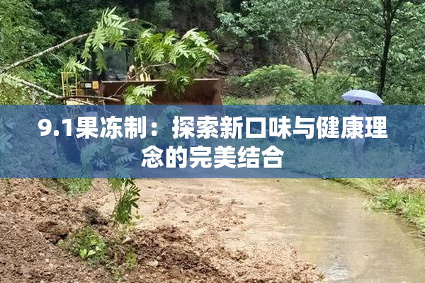 9.1果冻制：探索新口味与健康理念的完美结合