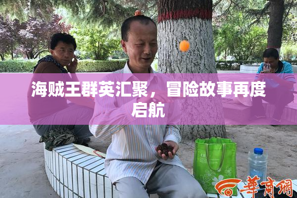 海贼王群英汇聚，冒险故事再度启航