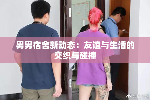男男宿舍新动态：友谊与生活的交织与碰撞
