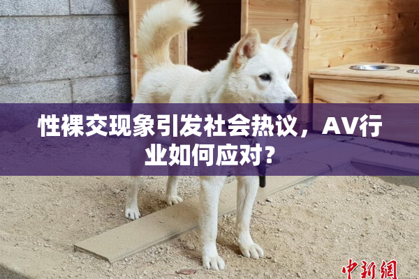 性裸交现象引发社会热议，AV行业如何应对？