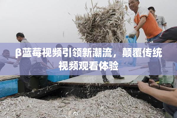 β蓝莓视频引领新潮流，颠覆传统视频观看体验