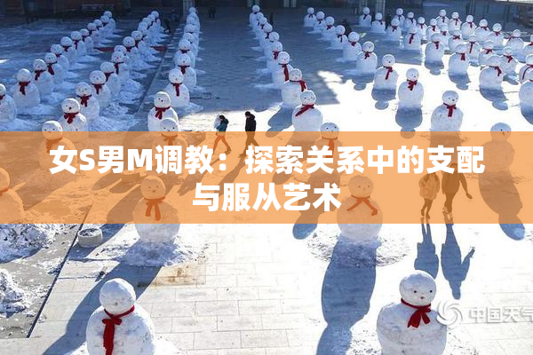 女S男M调教：探索关系中的支配与服从艺术