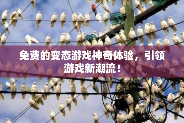 免费的变态游戏神奇体验，引领游戏新潮流！
