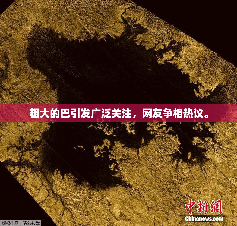 粗大的巴引发广泛关注，网友争相热议。