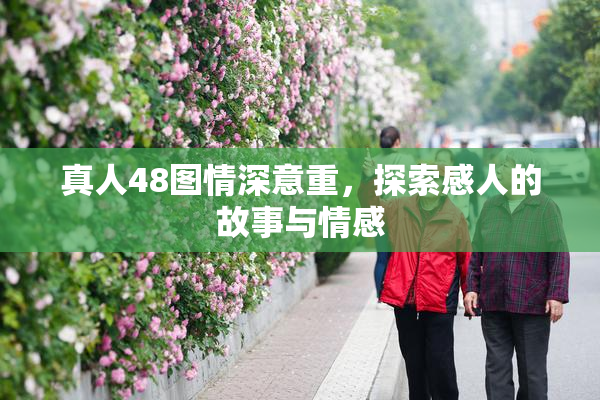 真人48图情深意重，探索感人的故事与情感