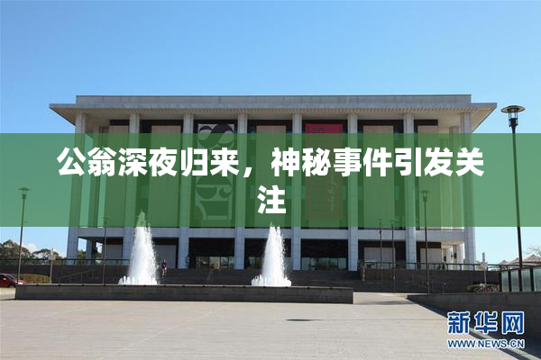 公翁深夜归来，神秘事件引发关注