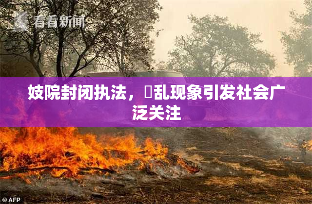 妓院封闭执法，婬乱现象引发社会广泛关注