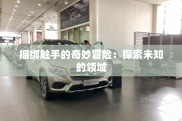 捆绑触手的奇妙冒险：探索未知的领域
