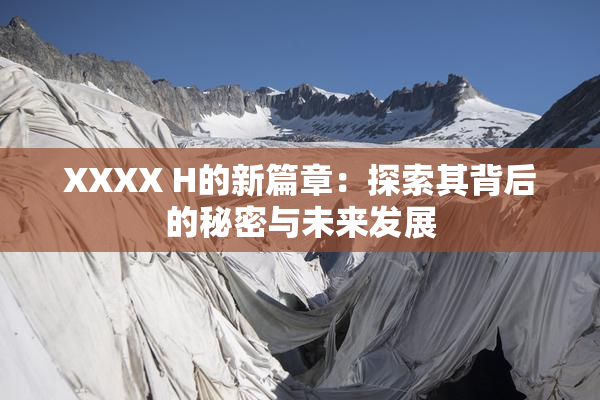 XXXX H的新篇章：探索其背后的秘密与未来发展