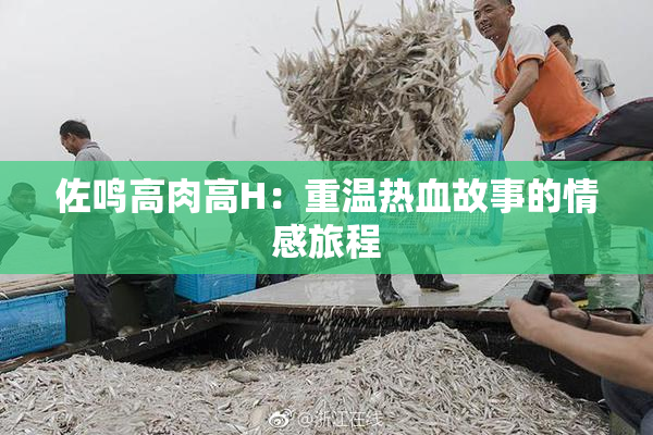 佐鸣高肉高H：重温热血故事的情感旅程
