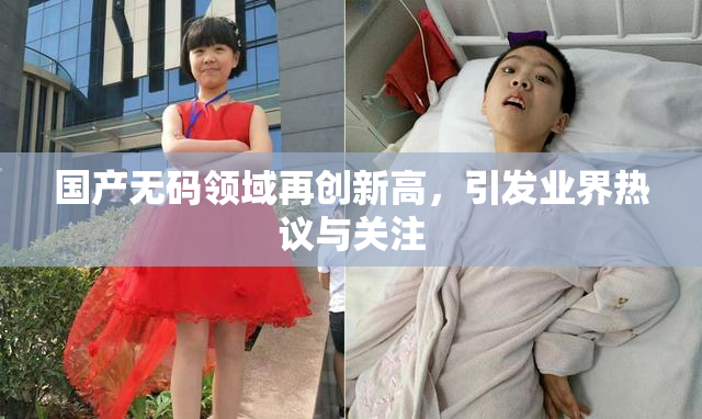 国产无码领域再创新高，引发业界热议与关注
