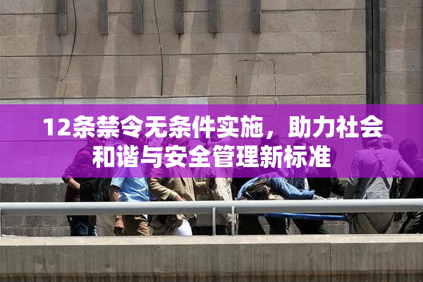 12条禁令无条件实施，助力社会和谐与安全管理新标准