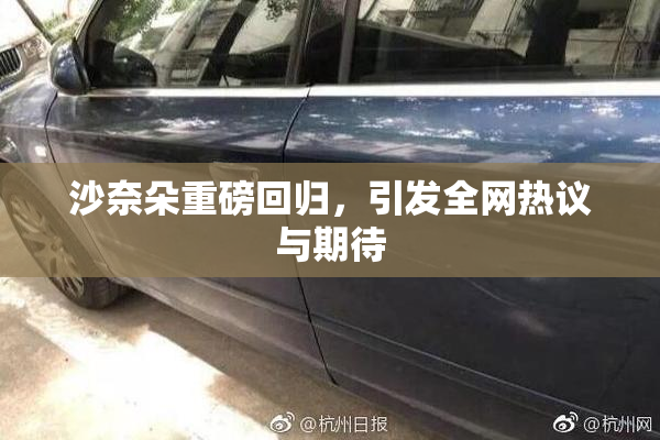 沙奈朵重磅回归，引发全网热议与期待