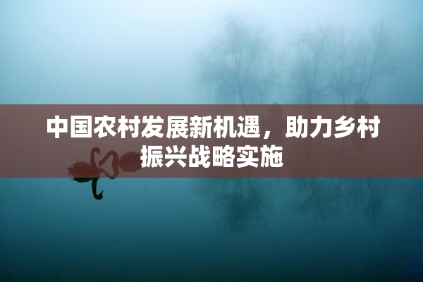 中国农村发展新机遇，助力乡村振兴战略实施