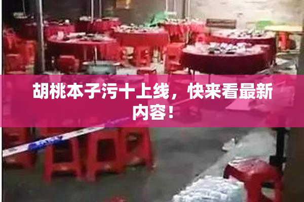 胡桃本子污十上线，快来看最新内容！