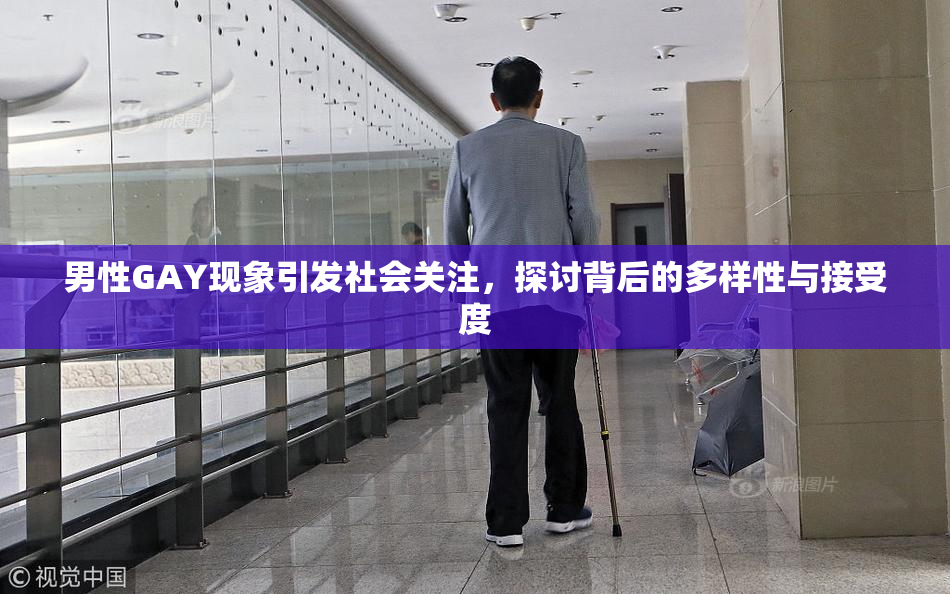 男性GAY现象引发社会关注，探讨背后的多样性与接受度
