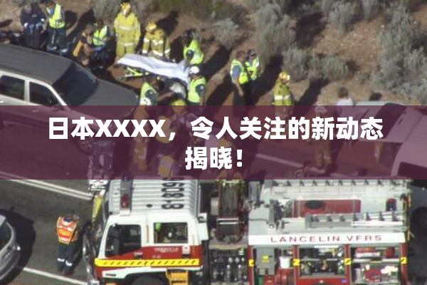 日本XXXX，令人关注的新动态揭晓！