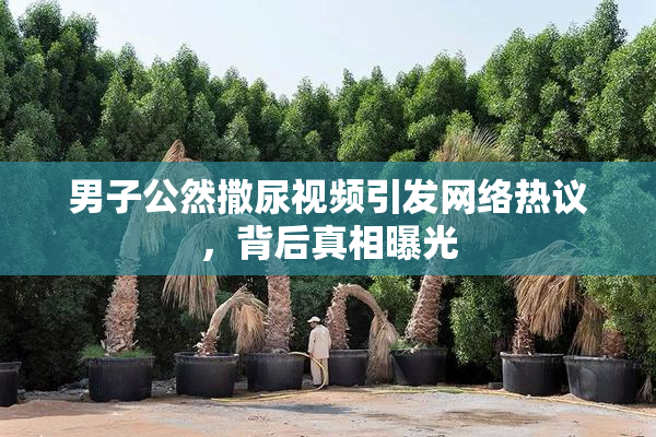 男子公然撒尿视频引发网络热议，背后真相曝光