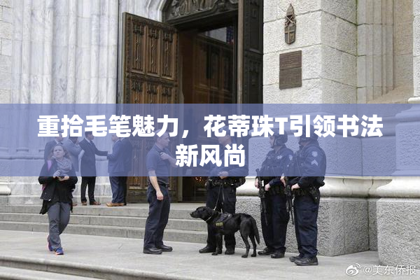 重拾毛笔魅力，花蒂珠T引领书法新风尚