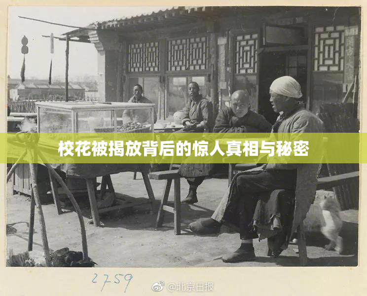 校花被揭放背后的惊人真相与秘密