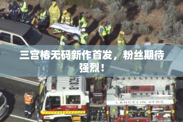 三宫椿无码新作首发，粉丝期待强烈！
