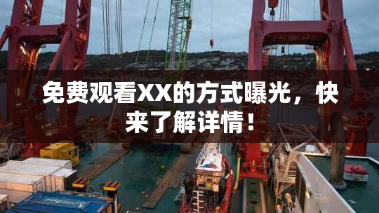 免费观看XX的方式曝光，快来了解详情！