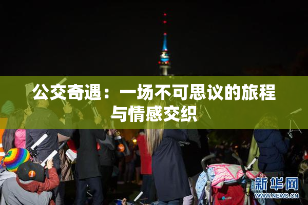 公交奇遇：一场不可思议的旅程与情感交织