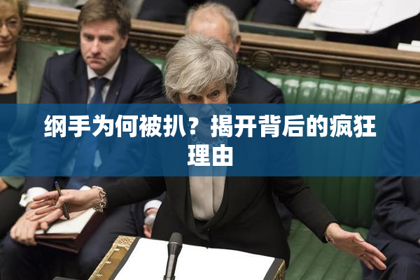纲手为何被扒？揭开背后的疯狂理由