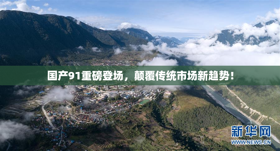 国产91重磅登场，颠覆传统市场新趋势！