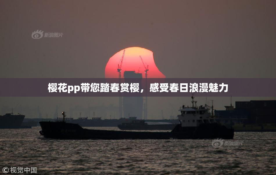 樱花pp带您踏春赏樱，感受春日浪漫魅力