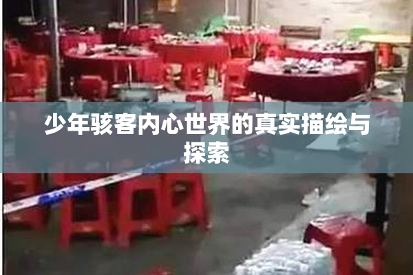 少年骇客内心世界的真实描绘与探索