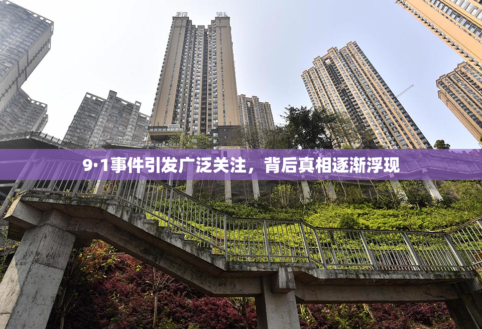 9·1事件引发广泛关注，背后真相逐渐浮现