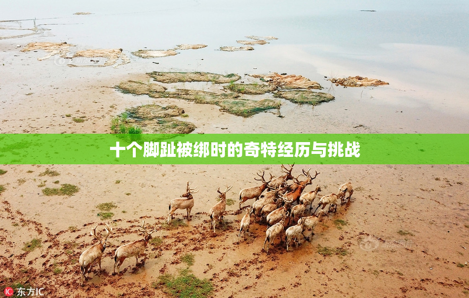 十个脚趾被绑时的奇特经历与挑战